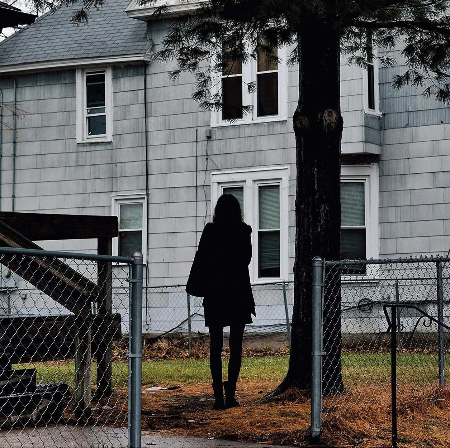 Tallest Man On Earth, The/Dark Bird Is Home [CD]