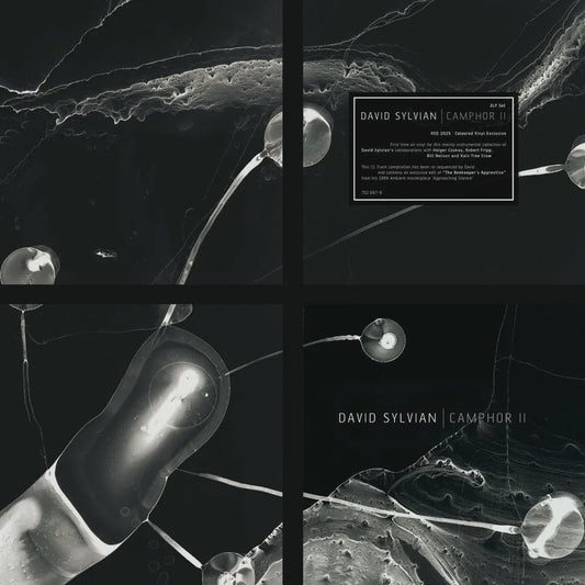 Sylvian, David/Camphor II [LP]