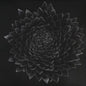Jonsi/Obsidian [LP]