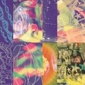 Nap Eyes/The Neon Gate [CD]
