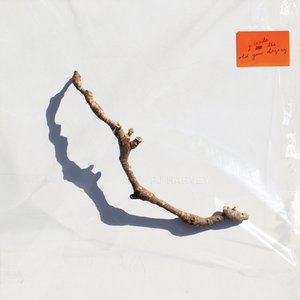 Harvey, PJ/I Inside the Old Year Dying [LP]