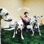 Rex Orange County/Who Cares? [CD]