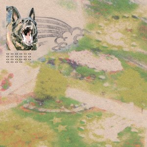 feeble little horse/Girl with Fish (Rainbow Sprinkle Splatter Vinyl) [LP]